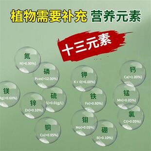 德沃多生根粉移栽生根扦插快速正品植物通用发根剂强力花卉壮苗剂