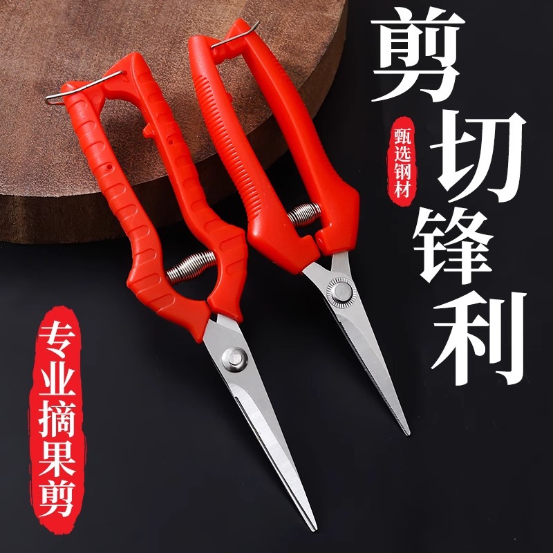 果树剪刀采果剪园艺剪葡萄疏花剪修花修枝剪采摘摘果剪刀户外果园