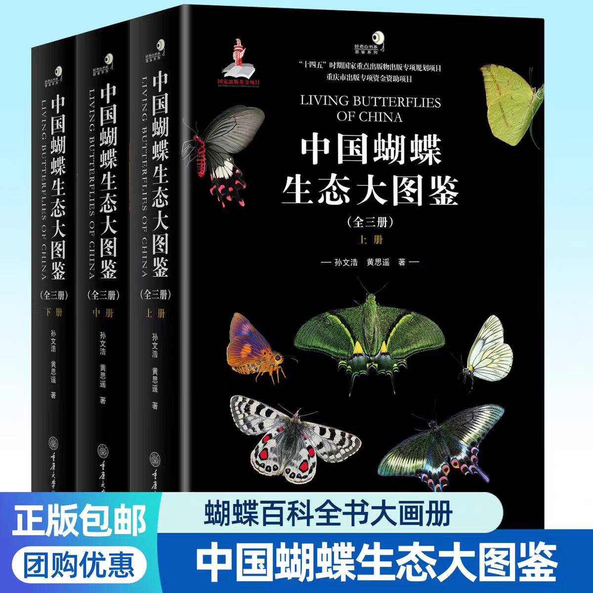 中国蝴蝶生态大图鉴全套3册 2100余种蝴蝶辨识特征习性寄主植物分布信息观蝶生命之美鉴别要点蝴蝶图册科普知识百科全书蝴蝶书籍
