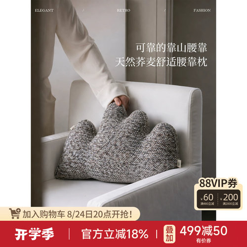蜡笔派异形靠枕轻奢久坐护腰靠垫