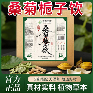 百草印象桑菊栀子饮菊苣栀子茶桑叶葛根百合苣桔子菊巨苦苣菊莴茶