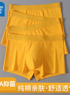 真维斯金黄色男士内裤男款纯棉抑菌平角裤夏季全棉男生四角短裤衩