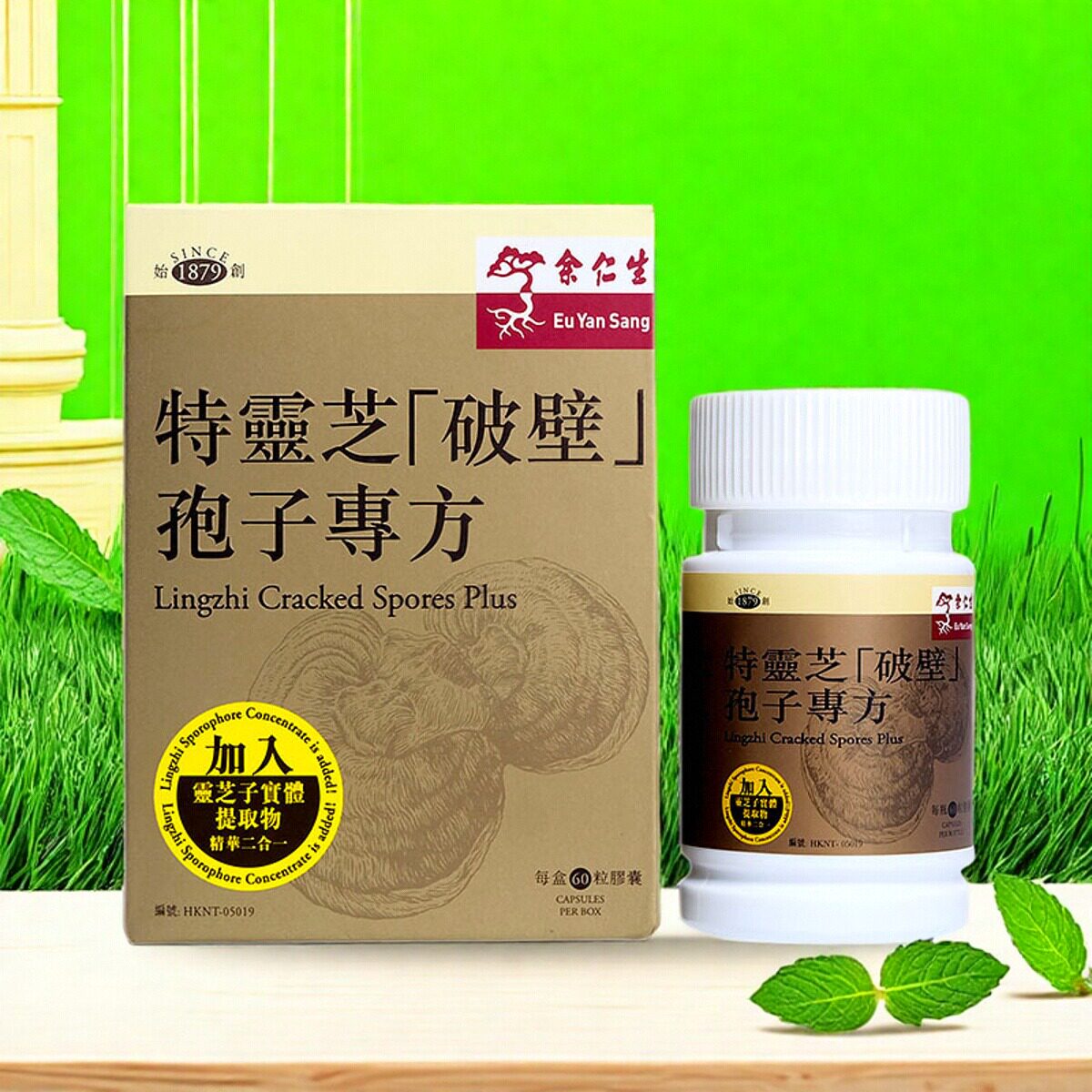 香港特灵芝破壁孢子60粒胶囊成人健康滋补营养品易吸收