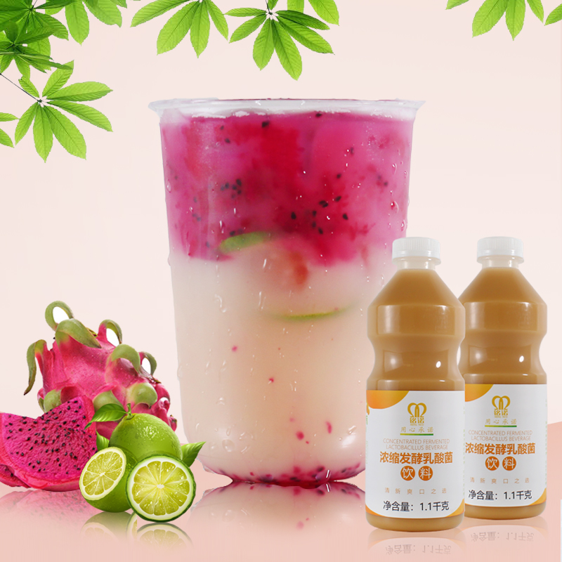 畅琪铭诺乳酸菌浓缩发酵优酪多