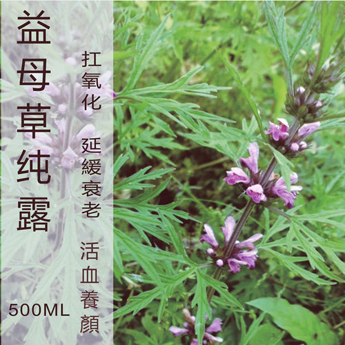 补水均匀肌肤纯露益母草