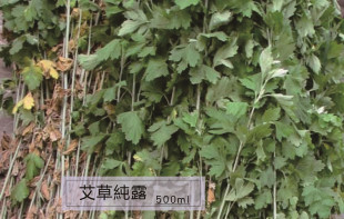 饱和艾草纯露 嫩白驱-蚊止-痒黑眼圈袋 真艾草不是蓝精油500ml