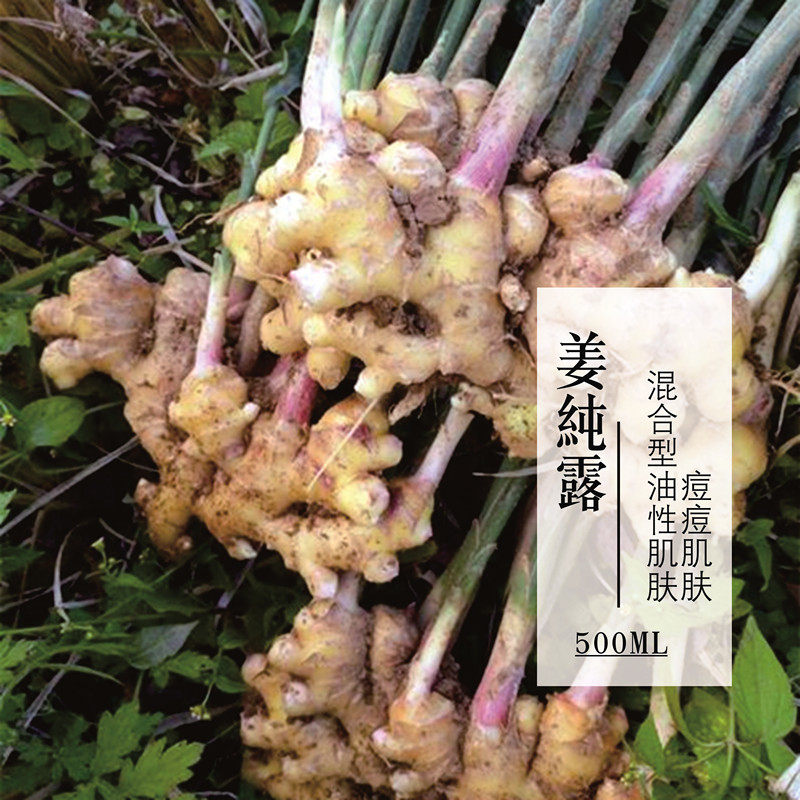 云南小黄姜生姜纯露500ml饱和 / 豆-印 淡-寒暖-身蒸馏包邮