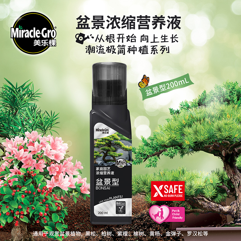 美乐棵盆景营养液 罗汉松紫檀黄杨柏树盆栽肥料控形促生根有机肥