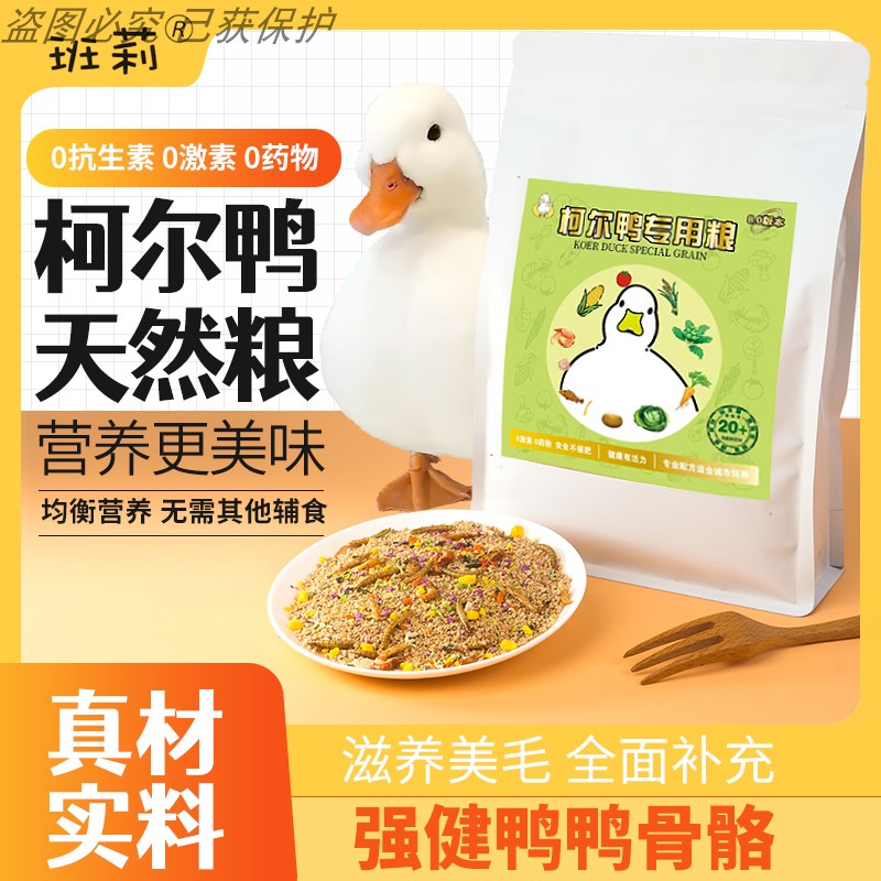 柯尔鸭幼鸭营养饲料专用