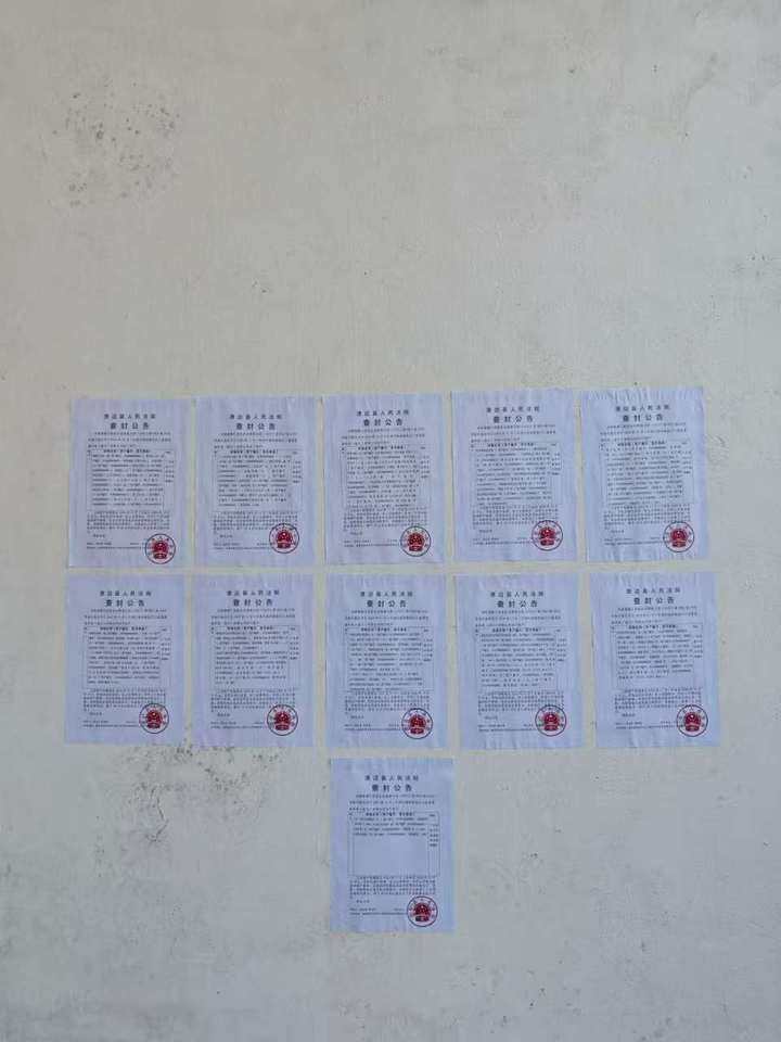 1月7日湛江位于广东省遂溪县乐民镇埠头村委会鸭塘村经济合作社的构筑物、机电设备、办公家具及土地承包经营权网络拍卖公告