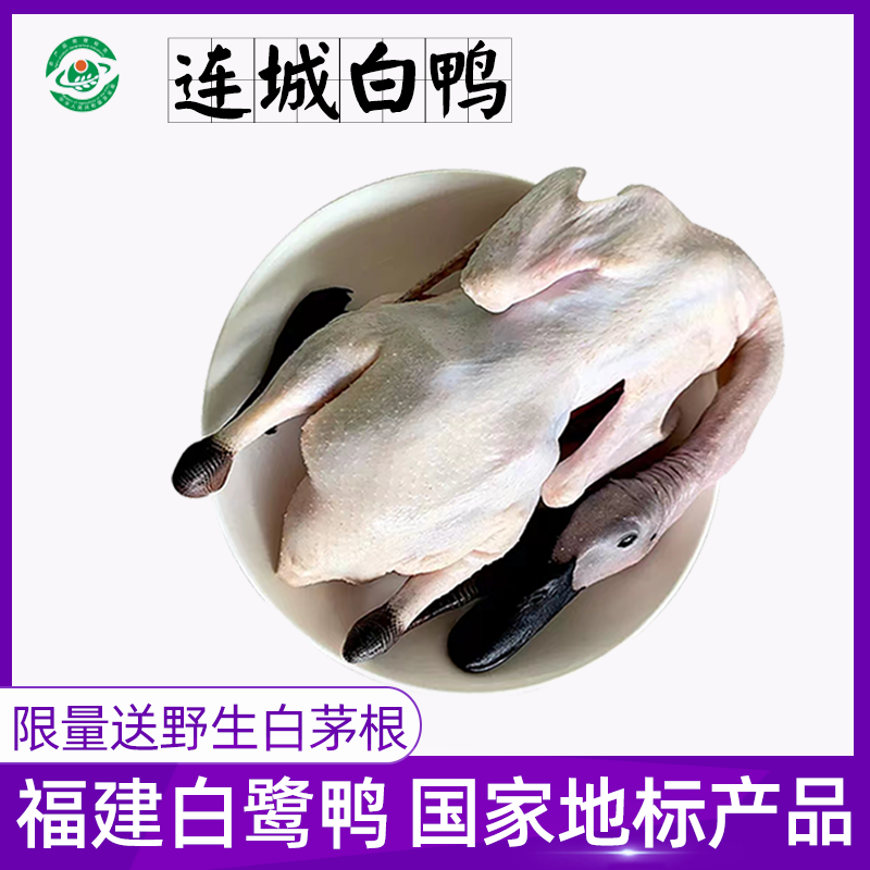 连城白鸭农家散养300天新鲜老鸭土鸭子水鸭汤黑嘴鸭白鹜鸭肉整鸭