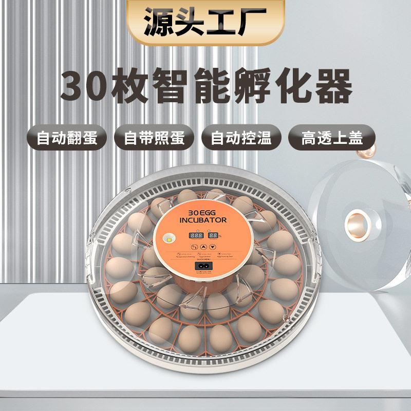 厂家直供30枚鸡蛋孵化机自动翻蛋孵化器家用小型孵蛋器养殖设备