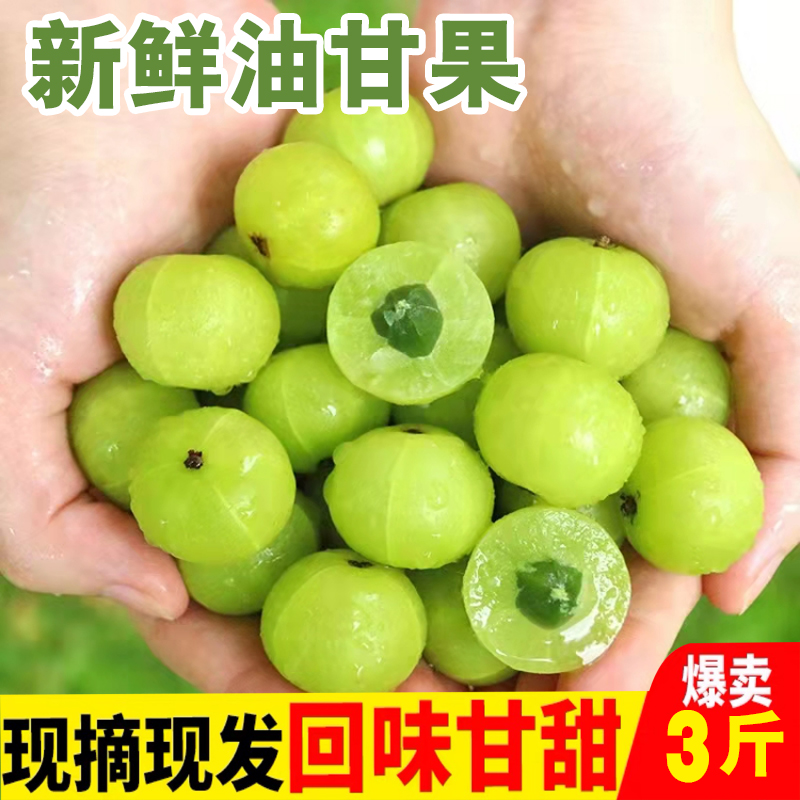 广西油甘果当季水果橄榄新鲜