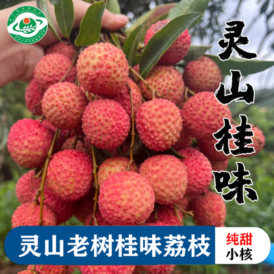 2025广西灵山桂味荔枝荔枝当季新鲜水果现摘现发1糯米0糍荔枝JD
