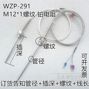 1固定螺纹温度传感器 WZP M12 PT100铂热电阻 291不锈钢探头进口