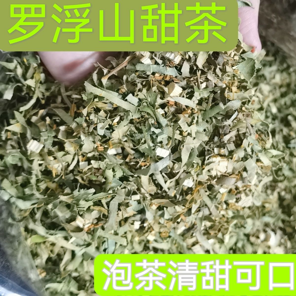 罗浮山特产 罗浮山酥醪野生甜茶原叶切丝未炒制甘而不含糖250克