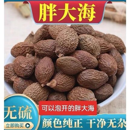 胖大海茶袋装清正宗散装干果正品搭配罗汉果
