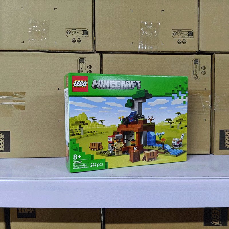 LEGO乐高我的世界21269犰狳矿洞探险 积木玩具摆件礼物拼插生日 - 实物图