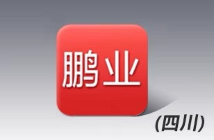 鹏业计价 招投标报价 代做预结算报价(四川）改工程量清单定额