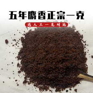 五年麝香粉非人工合成仁中药材 当门子中药材 麝香酒 中药材一克g