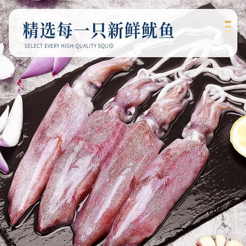 硬皮鱿鱼舟山内港捕捞新鲜野生小管海兔鲜活冷冻笔管鱿鱼东海顺丰
