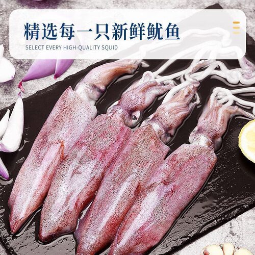 硬皮鱿鱼舟山内港捕捞新鲜野生小管海兔鲜活冷冻笔管鱿鱼东海顺丰