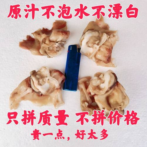 新鲜原汁冷冻鱿鱼脖无冰不漂泊