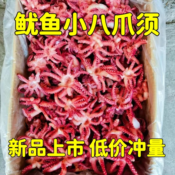小鱿鱼须新鲜冷冻小号鱿鱼头小八爪须净重无冰衣烧烤餐饮家庭食材