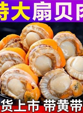 扇贝肉特大号新鲜冷冻原汁皇冠贝长岛北城红扇贝野生带黄商用批发