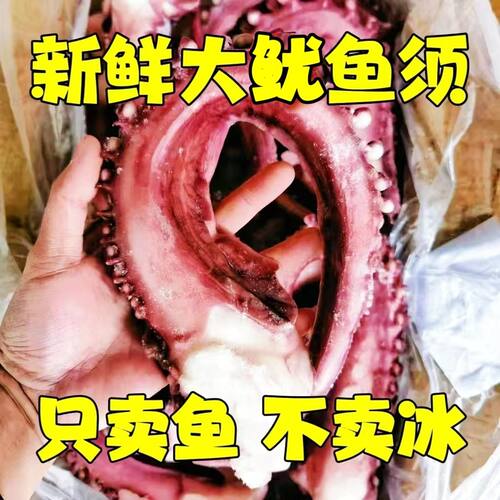超大号鱿鱼须特大章鱼足章鱼须