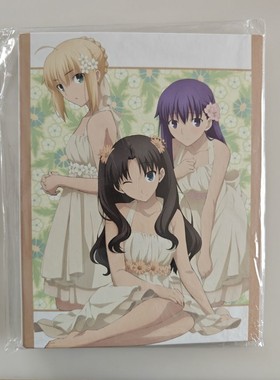 Fate/stay night UBW 特典 档案夹 文件夹 日版