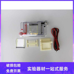 水平电泳槽 琼脂糖电泳槽高中生物仪器 新课标分子分离 教学仪器