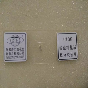 蝗虫精巢减数分裂装片教学仪器 张家港浪花生物切片