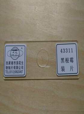 43311黑根霉装片生物切片张家港浪花生物涂片玻片教学实验装片