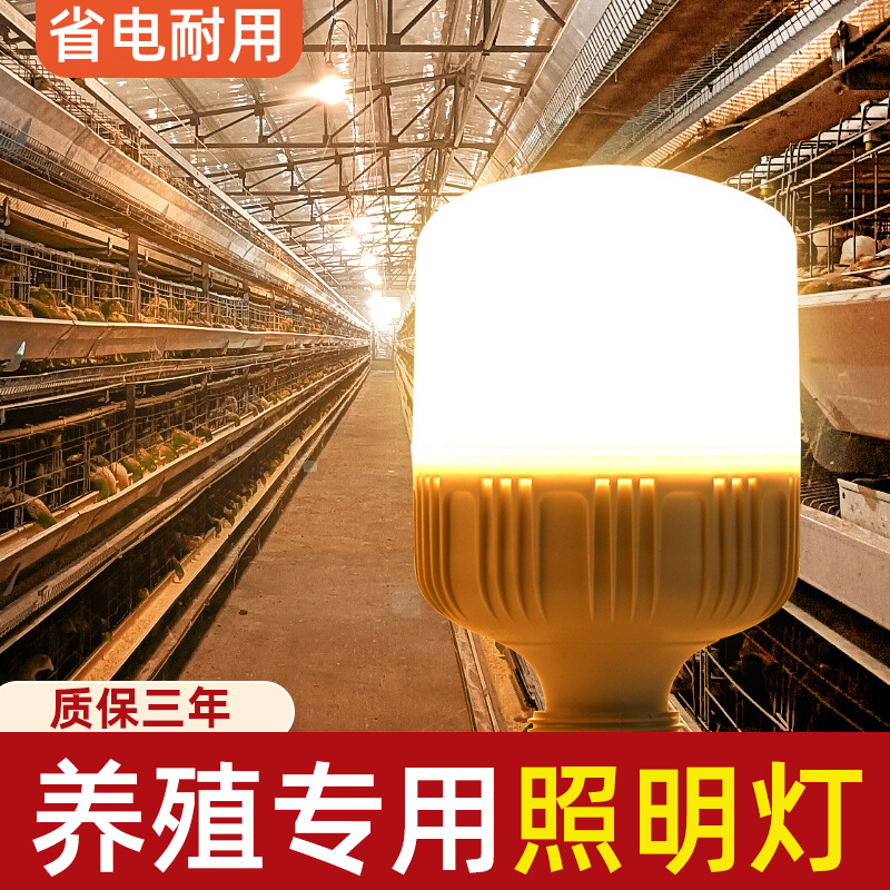 养殖用蛋鸡养殖专用LED防水E27节能暖光灯泡