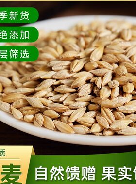 山西酿酒大麦粒带壳麦芽糖原料