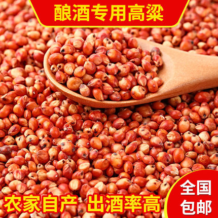 酿酒红高粱100斤农家自产酿醋食用鸽粮杂粮饲料带皮东北高粱包邮