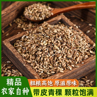 云南蓝白黑青稞生青稞带皮青稞酿酒做种糌粑原料青稞原粮散装包邮