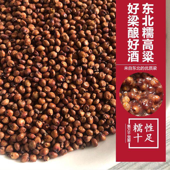 糯红高粱东北新货糯红高酿酒自产