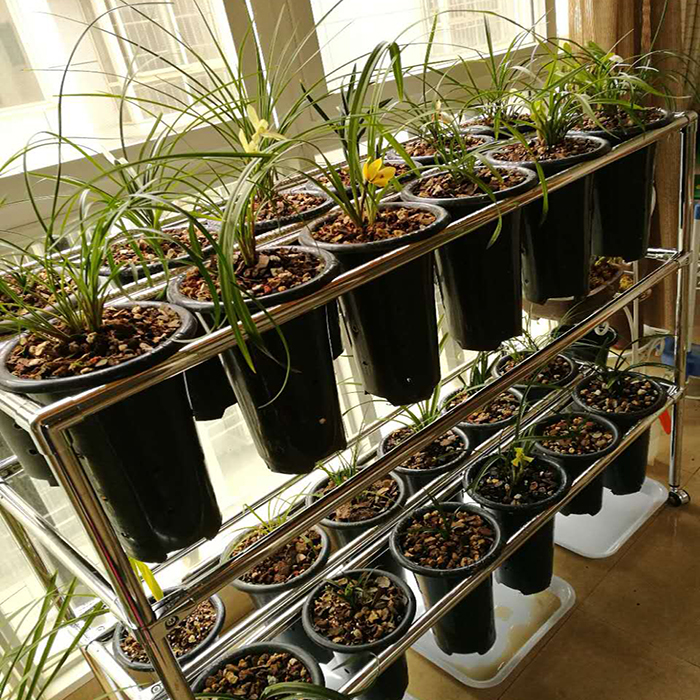 精品不锈钢阳台可以移动花架