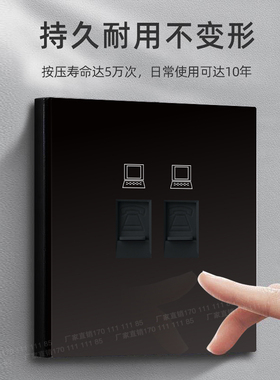 D89s系列PC大板轻触开关系列插座双电脑双网口插座面板灰黑香槟金