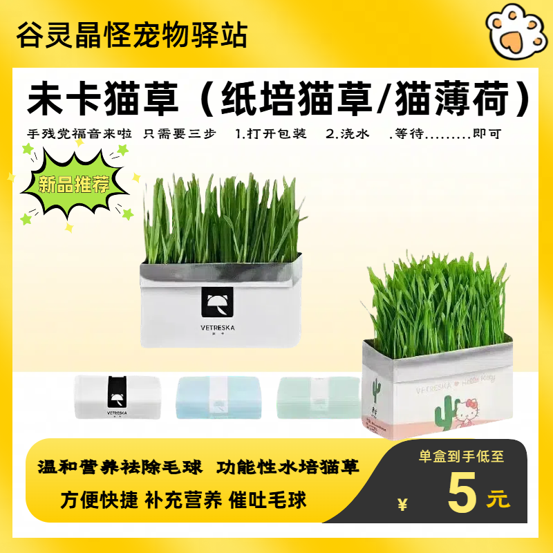 未卡猫草猫薄荷去毛球天然种植