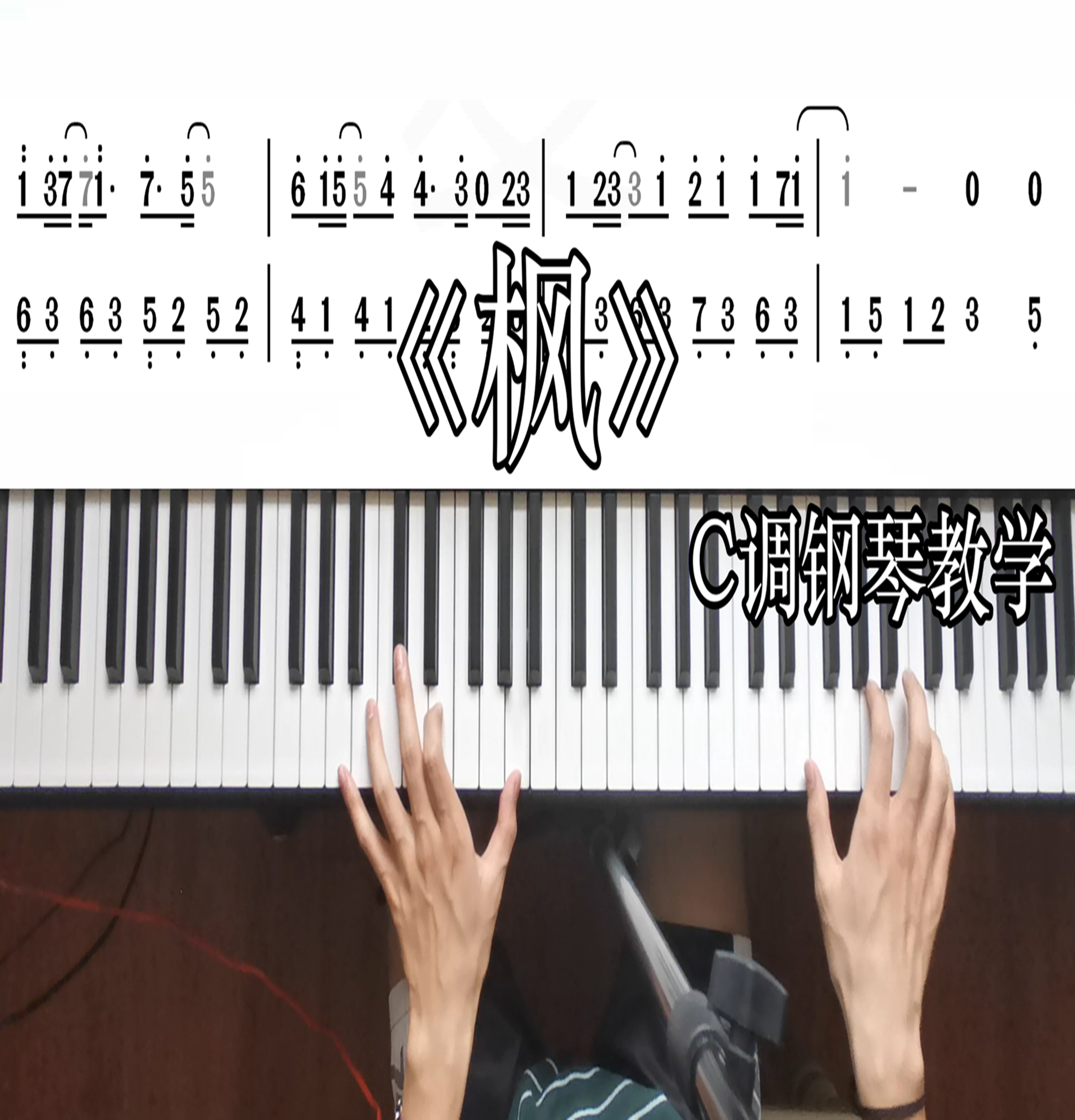 《枫》周杰伦 零基础钢琴教学 全程讲解难点解析 小白轻松学 包会