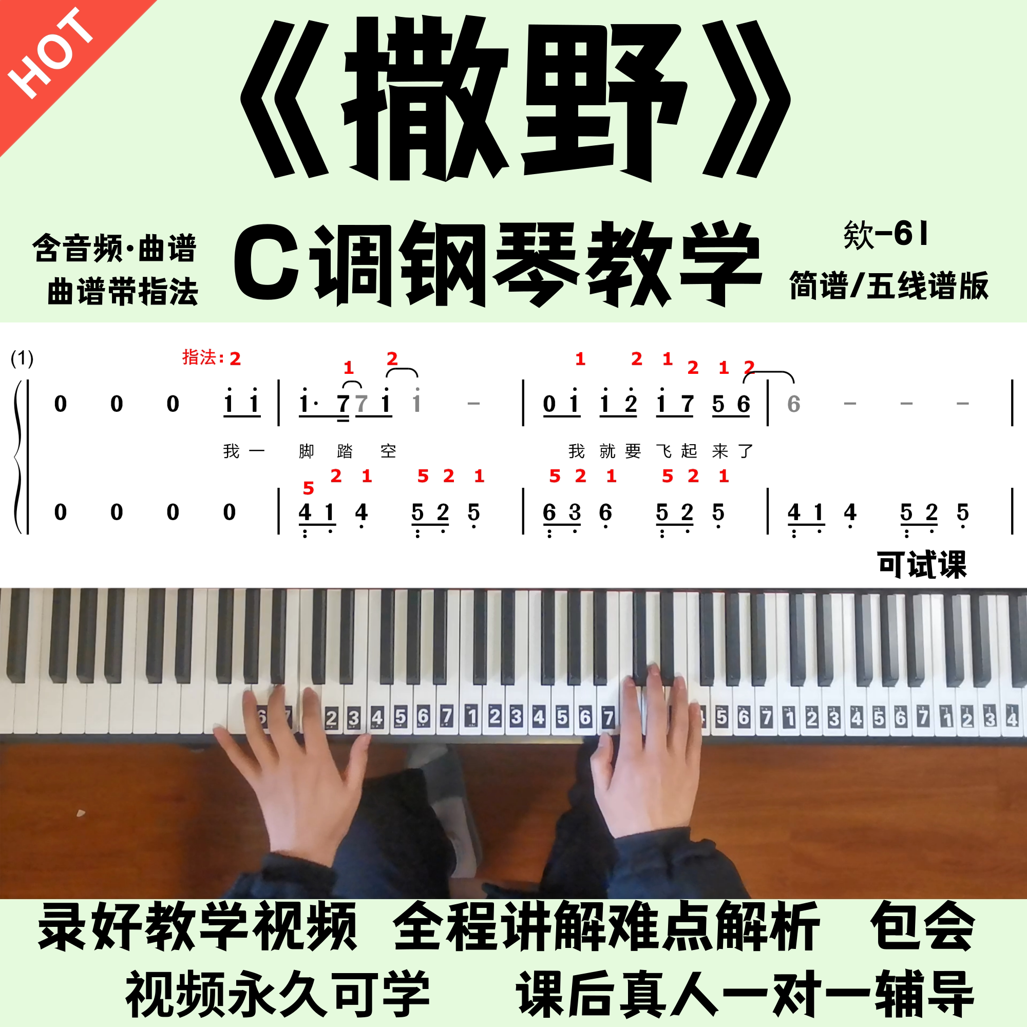 《撒野》欸-61 零基础钢琴教学 全程讲解 小白也能轻松学会 包会
