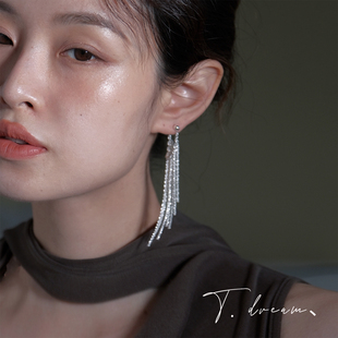 《流浪诗行》波光粼粼长流苏耳环女小众设计高级耳钉耳饰2026新款