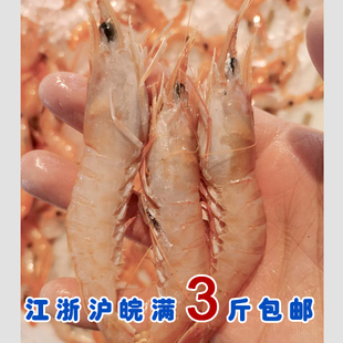 石浦海鲜  小船海虾/毛虾/白刺虾/麻虾 新鲜冷冻  肉嫩鲜美