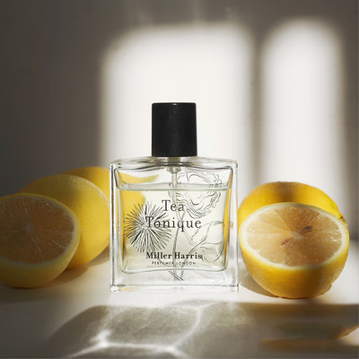 米勒海莉诗香水城之舞城之谜