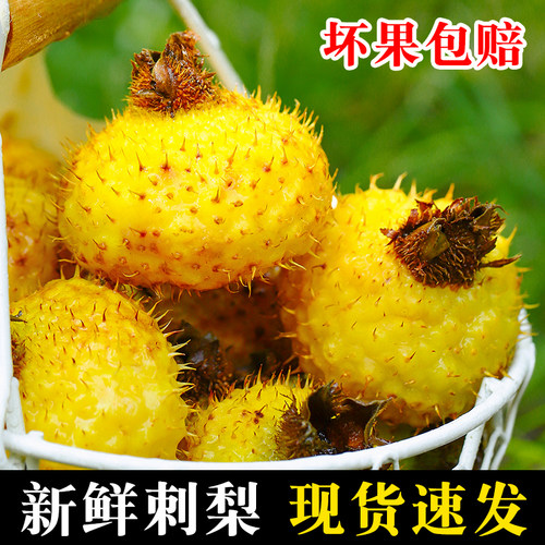 贵州新鲜刺梨5斤装泡酒榨汁