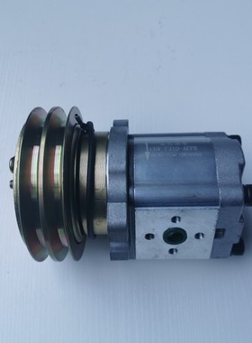 车厢可卸式垃圾车液压泵\武汉汉福垃圾勾臂车CBFT-F310AFP液压泵.