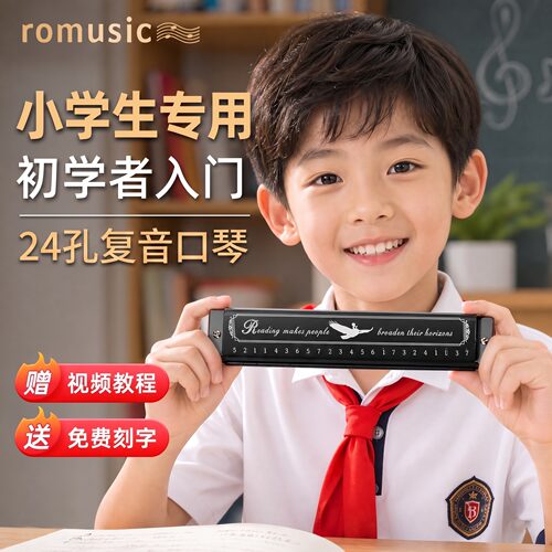 romusic24孔复音C调初学者口琴